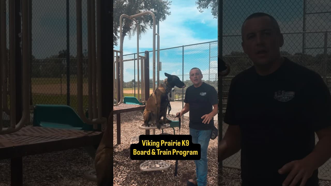 Watch "This Is What a REAL Board & Train Should Look Like" from Viking Prairie K9 on YouTube