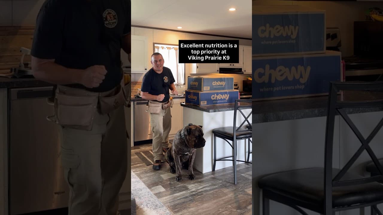 Watch "Why I’m Switching ALL My Dogs to Kinetic Dog Food" from Viking Prairie K9 on YouTube