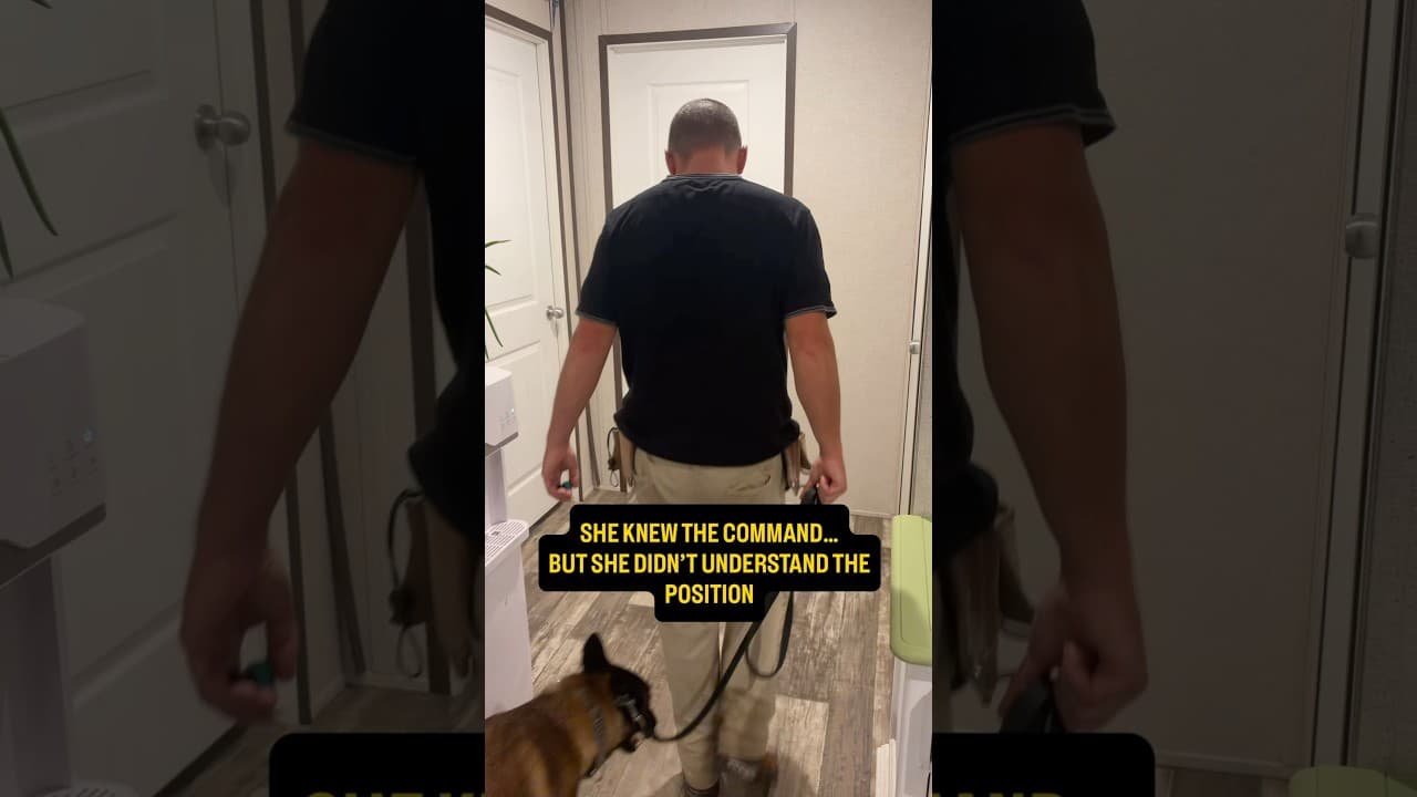 Watch "She Knew Heel… But Her Position Was Wrong | Heel Box Training" from Viking Prairie K9 on YouTube