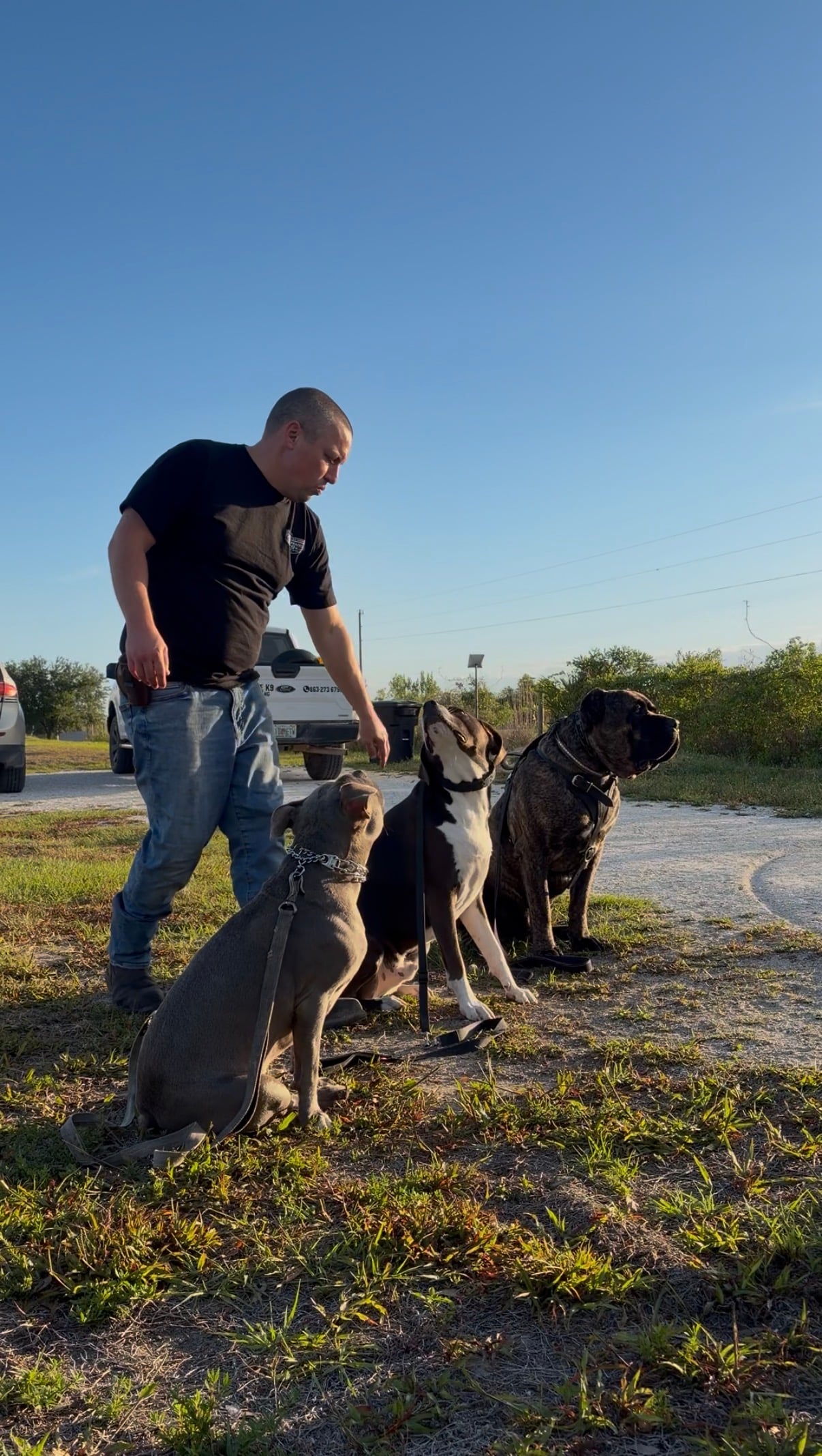 Robert with three dogs at the end of a session