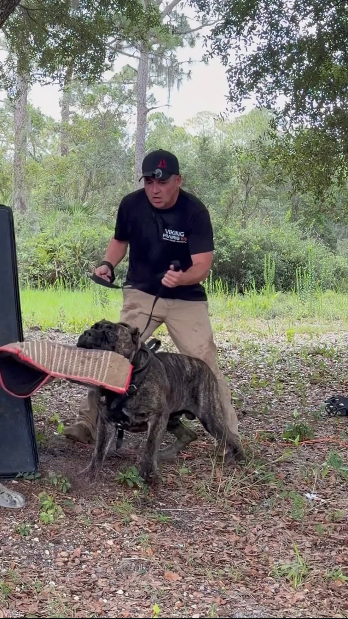 Robert LaPerriere Jr., founder and lead trainer at Viking Prairie K9