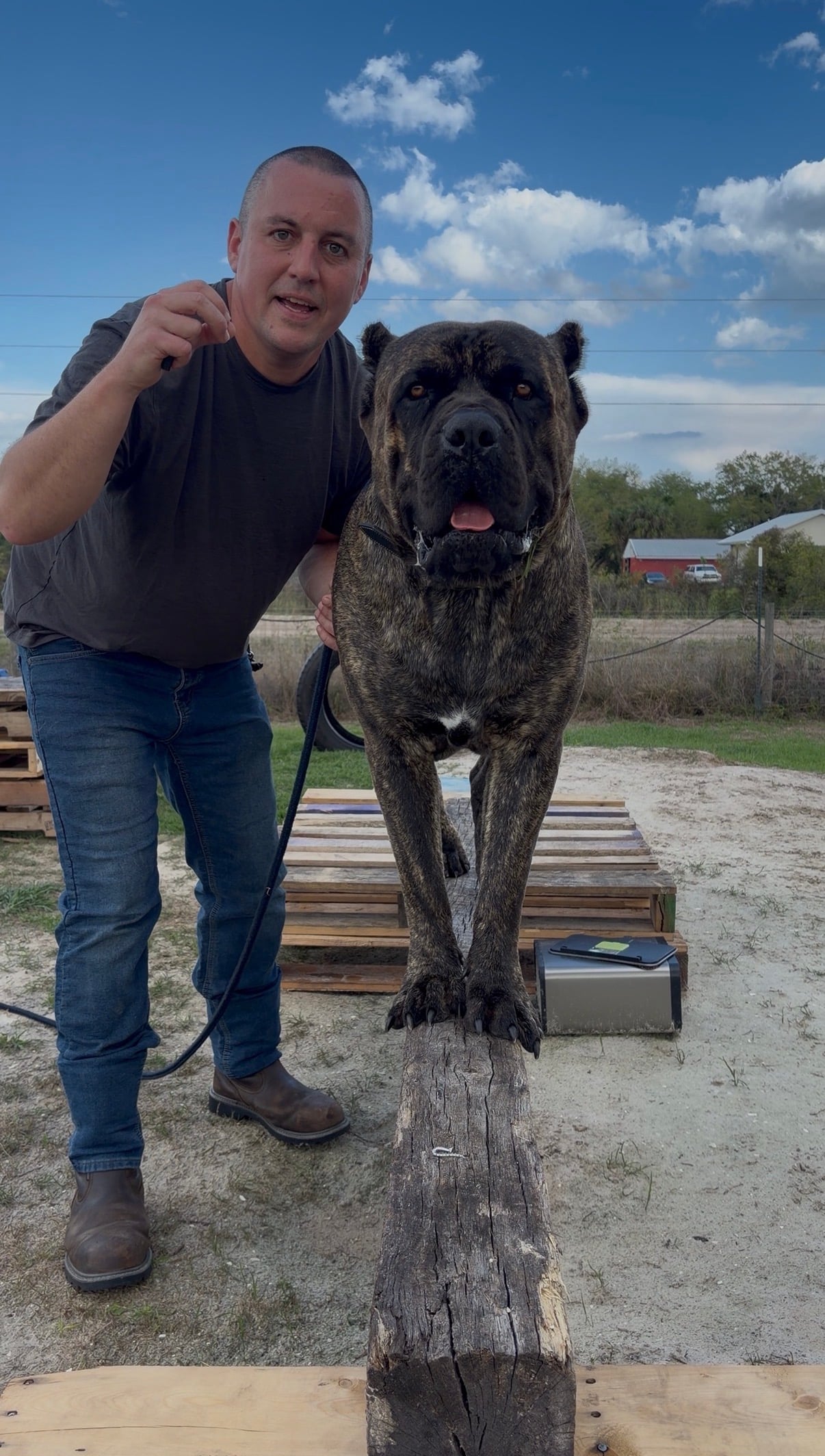 Robert crouching beside a Cane Corso, talking to the camera