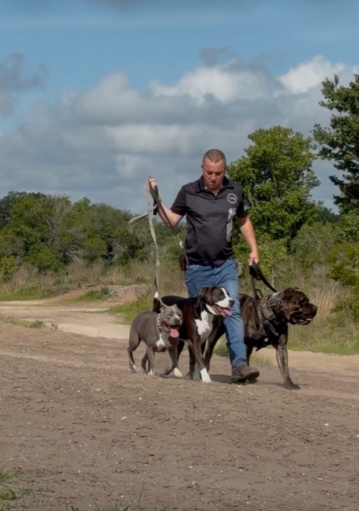 Robert walking three dogs on leashes along a dirt trail
