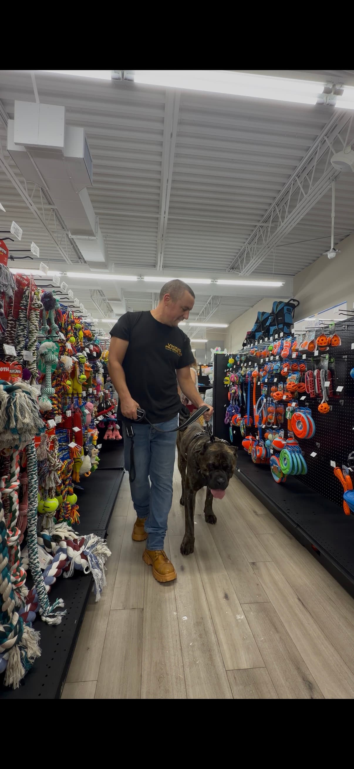 Real-world obedience training with Viking Prairie K9