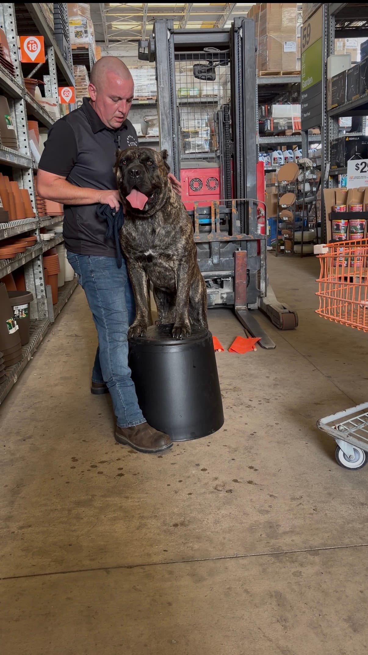 Robert conducting private training with a dog in a public setting