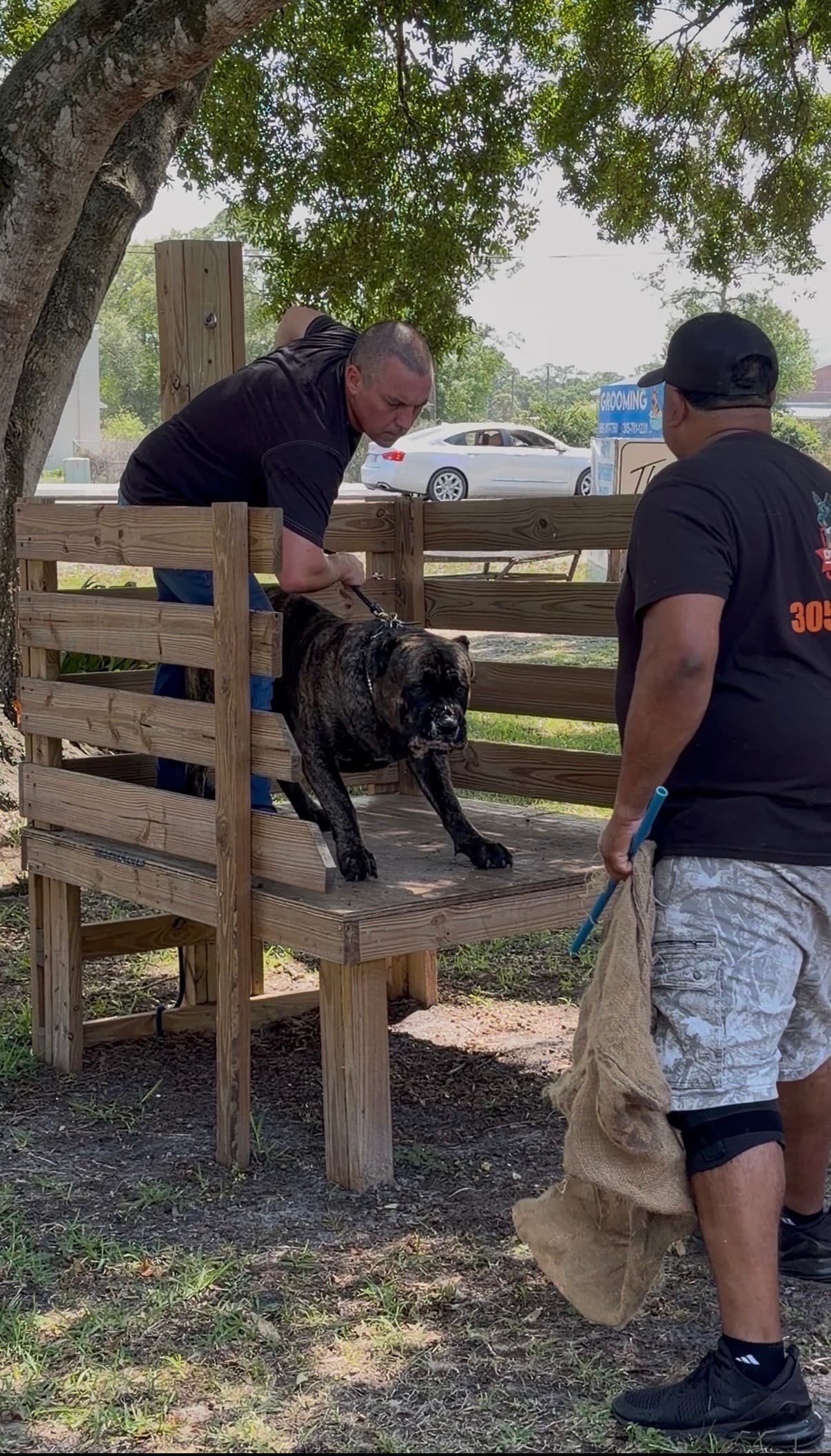 Robert conducting a private one-on-one training session with a client and dog