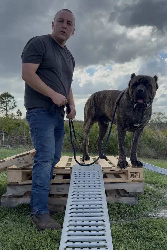 Robert standing beside his Cane Corso on a ramp under a big sky