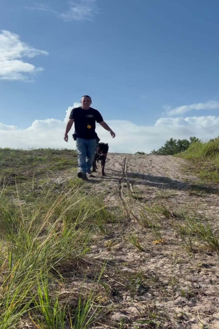 Robert walking a Cane Corso up a sand road